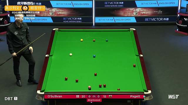 样被专家看 样被专家看