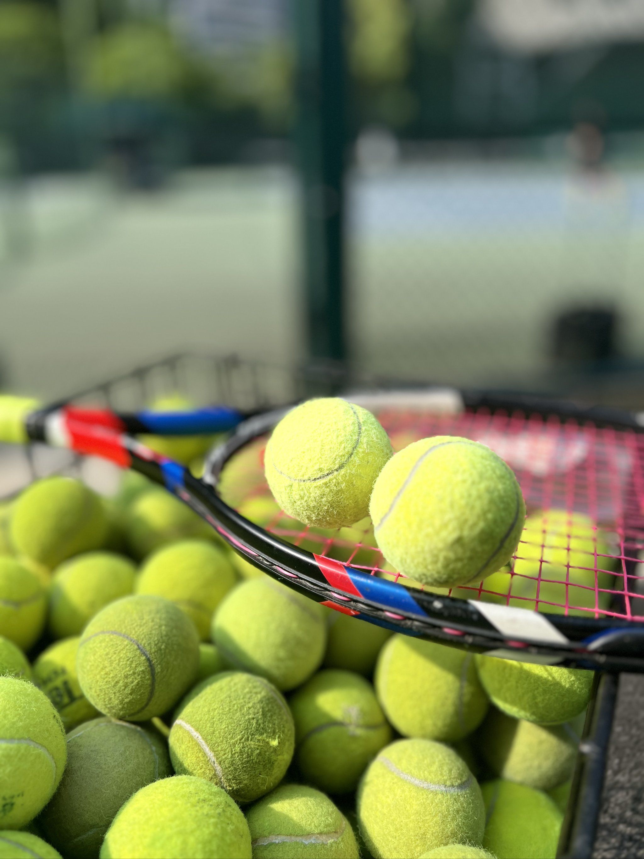 的决策质量 的决策质量