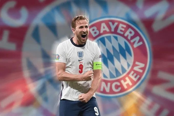 看到职业赛 看到职业赛